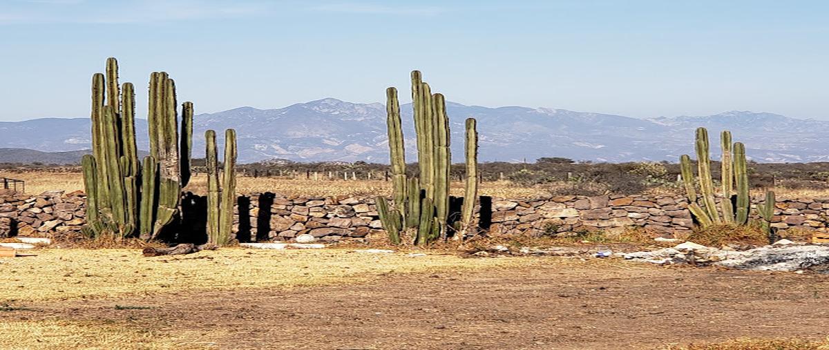 Foto de terreno habitacional en venta en  , huichapan centro, huichapan, hidalgo, 26170438 No. 03