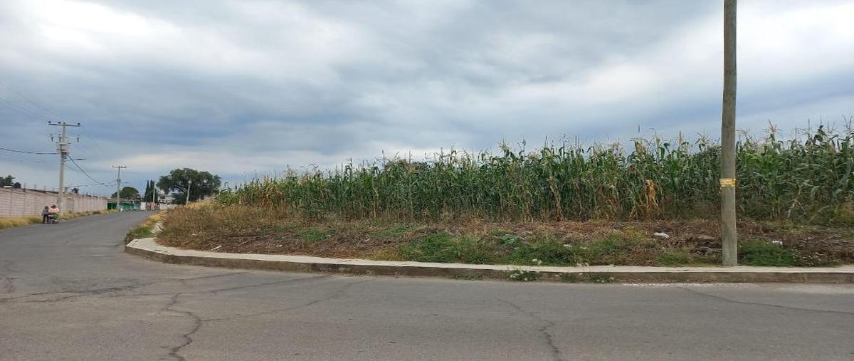 Foto de terreno habitacional en venta en huilotongo , san felipe teotitlán, nopaltepec, méxico, 0 No. 03