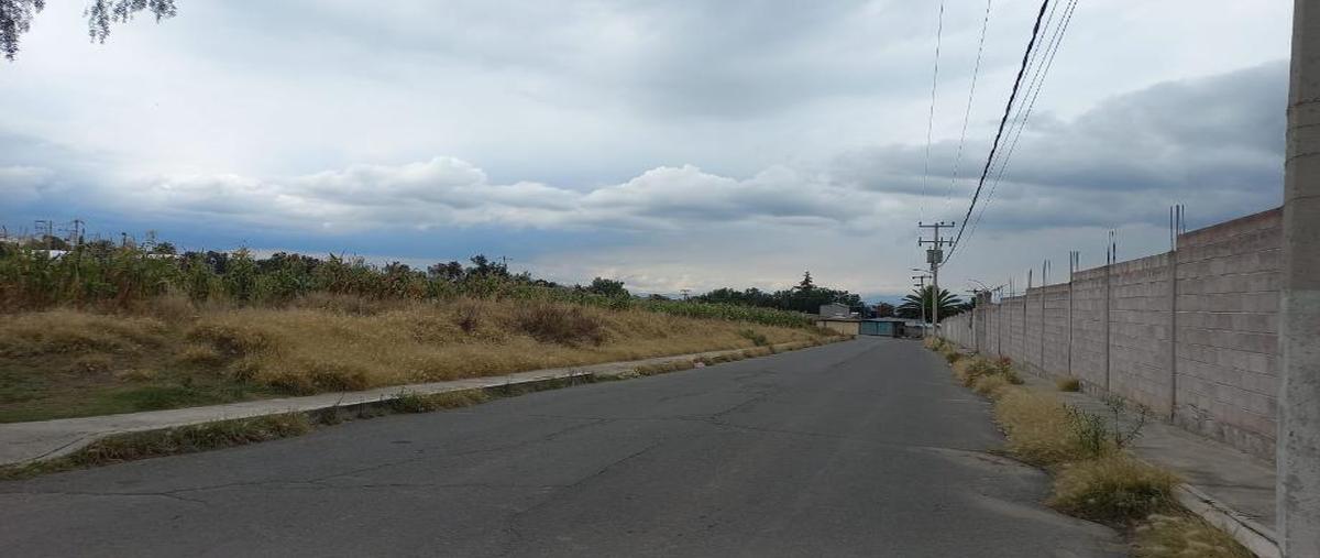 Foto de terreno habitacional en venta en huilotongo , san felipe teotitlán, nopaltepec, méxico, 0 No. 04