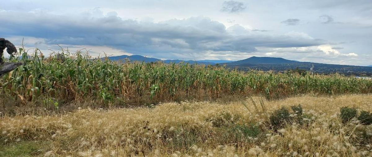Foto de terreno habitacional en venta en huilotongo , san felipe teotitlán, nopaltepec, méxico, 0 No. 05