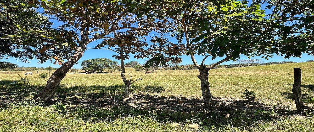 Foto de terreno habitacional en venta en  , huimanguillo centro, huimanguillo, tabasco, 0 No. 03