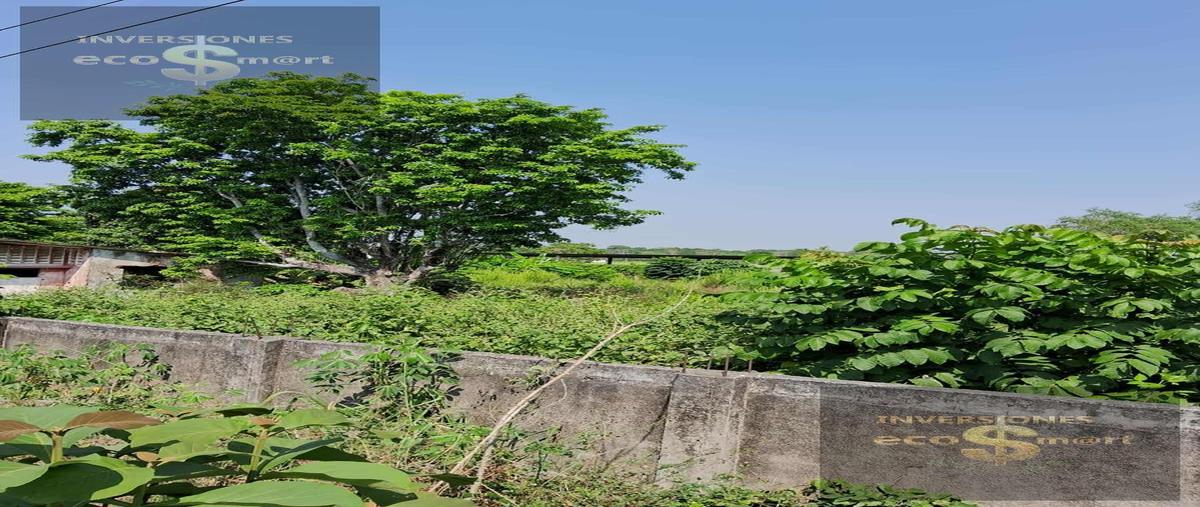 Foto de casa en venta en  , huimanguillo, huimanguillo, tabasco, 30150372 No. 04