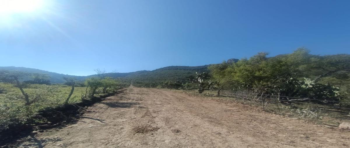 Foto de terreno habitacional en venta en  , huimilpan centro, huimilpan, querétaro, 27307259 No. 04
