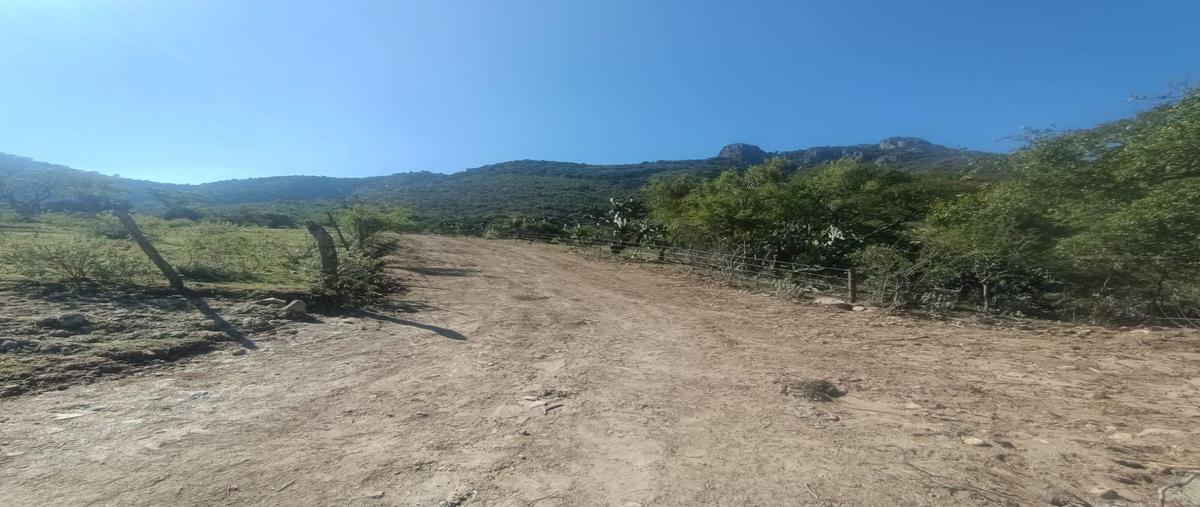 Foto de terreno habitacional en venta en  , huimilpan centro, huimilpan, querétaro, 27307259 No. 05