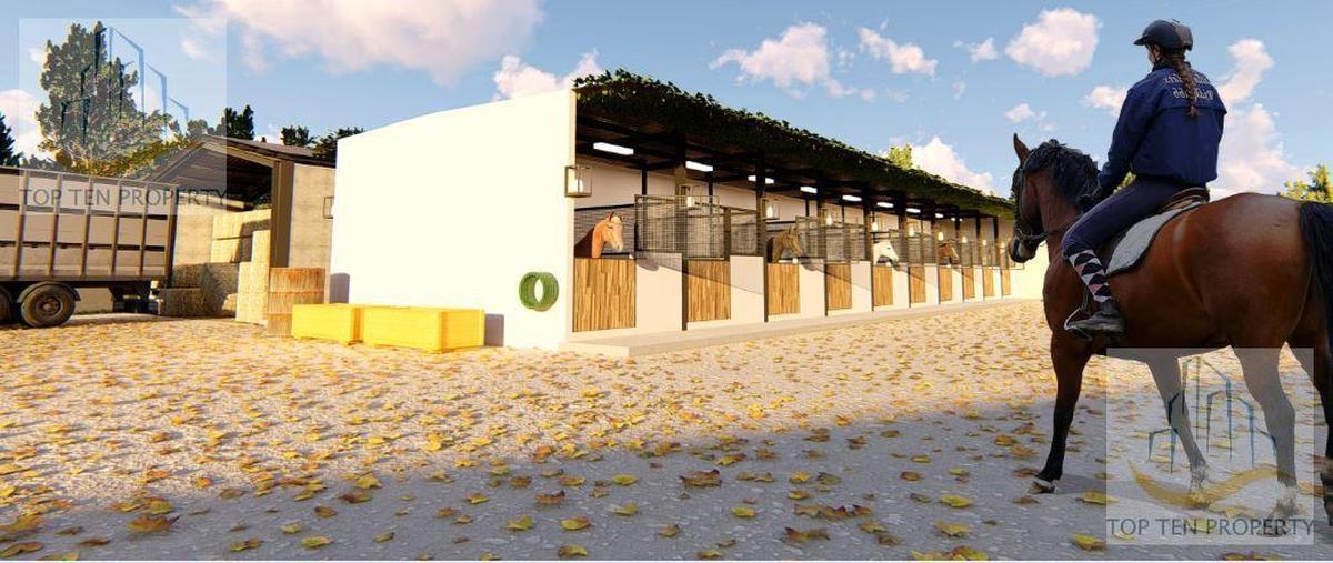 Foto de terreno habitacional en venta en  , huimilpan centro, huimilpan, querétaro, 30644618 No. 05