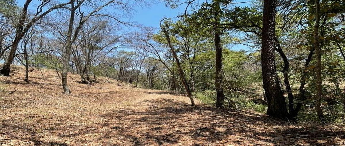 Foto de terreno habitacional en venta en  , huimilpan centro, huimilpan, querétaro, 0 No. 05
