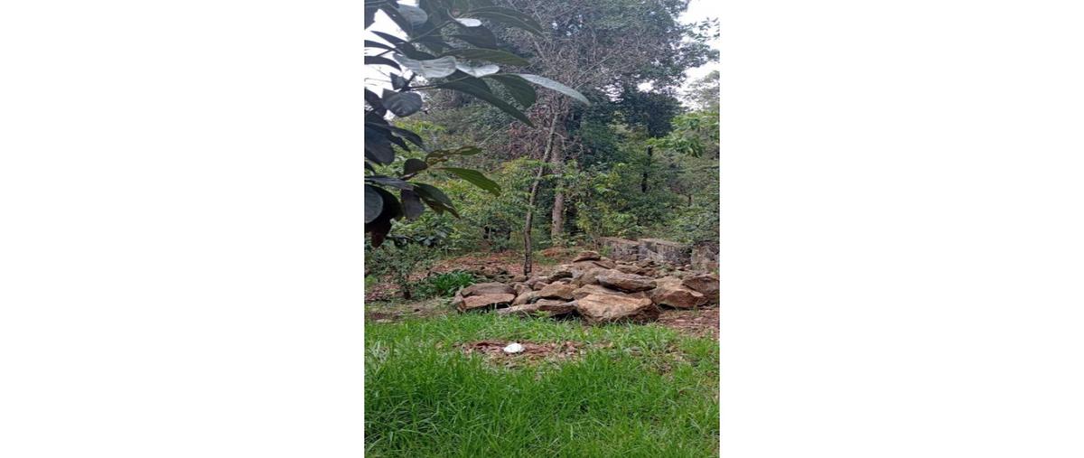 Foto de terreno habitacional en venta en  , huitzilac, huitzilac, morelos, 0 No. 03