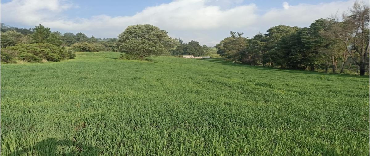 Foto de terreno habitacional en venta en  , huitzilac, huitzilac, morelos, 0 No. 05