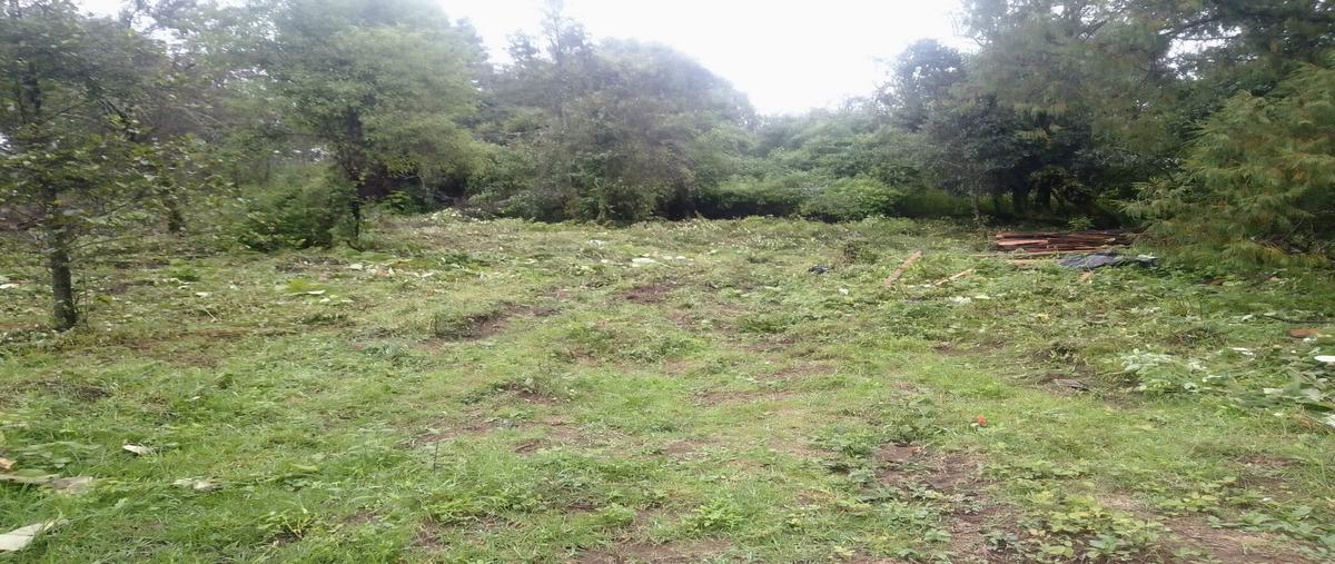 Foto de terreno habitacional en , huitzilac, huitzilac, morelos, 27530182 foto 03 Foto de terreno habitacional en venta en , huitzilac, huitzilac, morelos, 27530182 No. 03