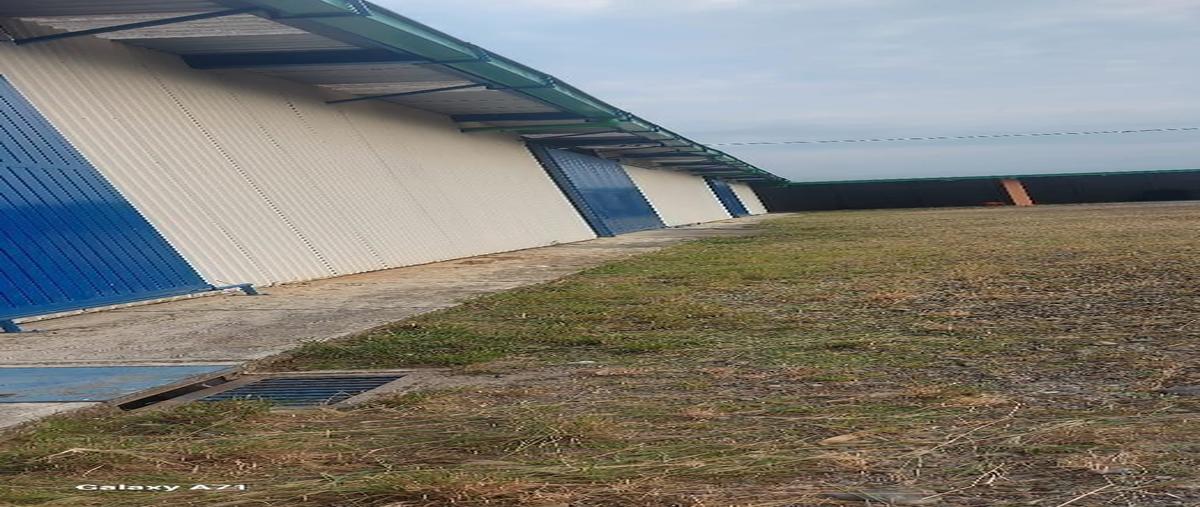 Foto de bodega en renta en  , huixtla centro, huixtla, chiapas, 27405086 No. 04