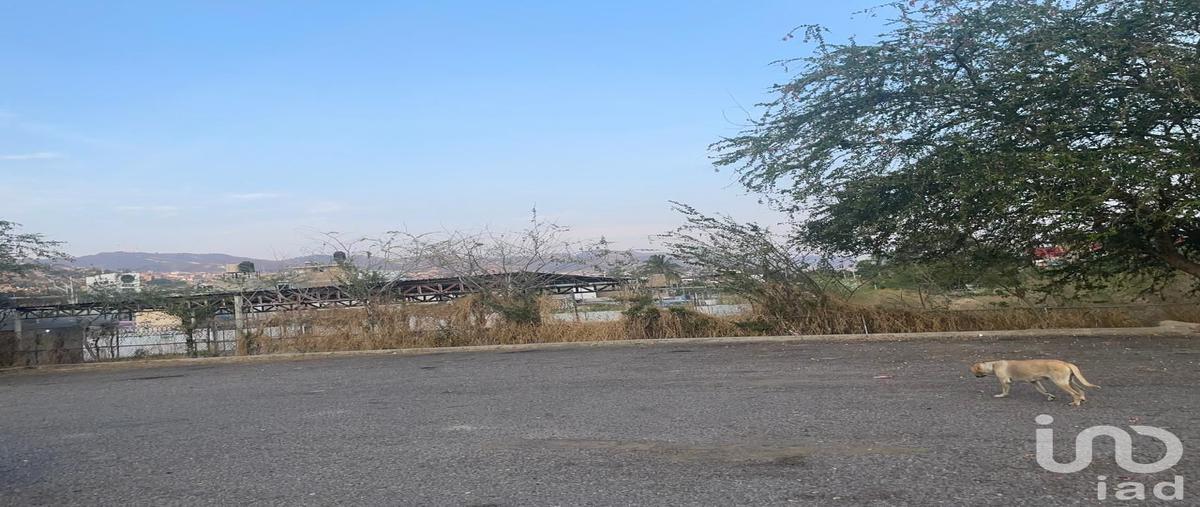 Foto de terreno comercial en huizache 93, huacapita, chilpancingo de los bravo, guerrero, 31522561 foto 05 Foto de terreno comercial en renta en huizache 93, huacapita, chilpancingo de los bravo, guerrero, 31522561 No. 05