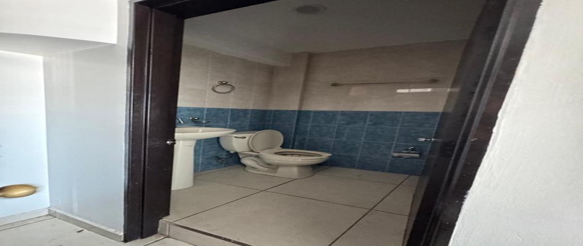 Foto de departamento en renta en  , humaya, culiacán, sinaloa, 0 No. 05