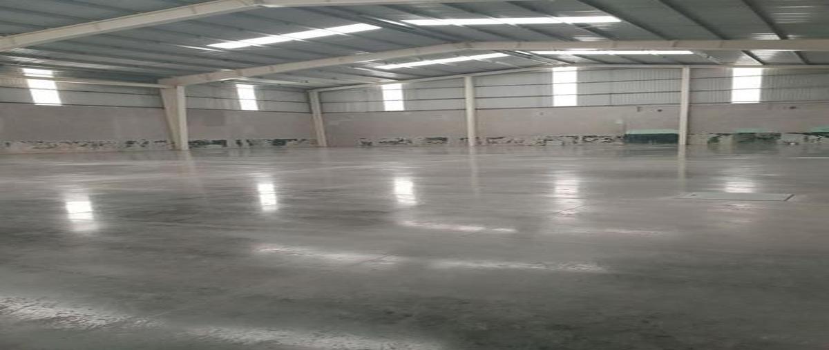 Foto de bodega en renta en  , humboldt norte, puebla, puebla, 0 No. 01