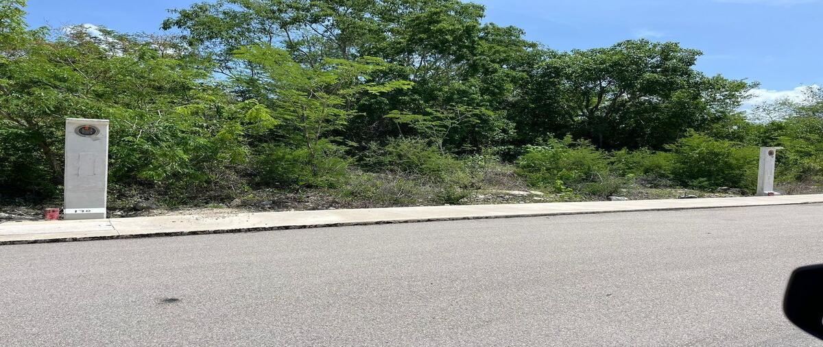 Foto de terreno habitacional en venta en hunucmá , centro hunucmá, hunucmá, yucatán, 28521471 No. 03