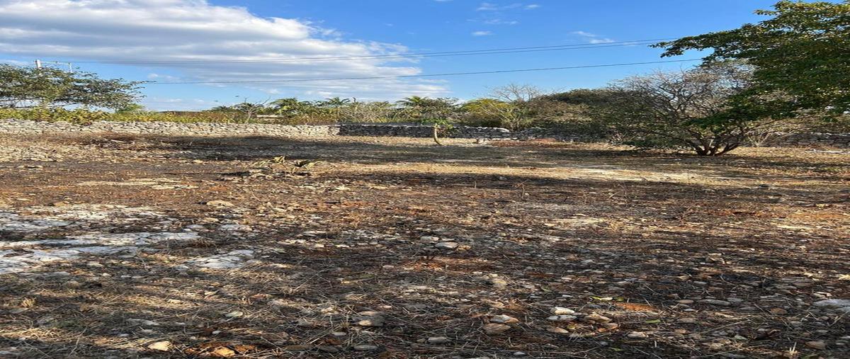 Foto de terreno habitacional en venta en hunucma , centro hunucmá, hunucmá, yucatán, 0 No. 10