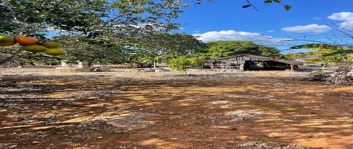 Foto de terreno habitacional en venta en hunucma , centro hunucmá, hunucmá, yucatán, 0 No. 13