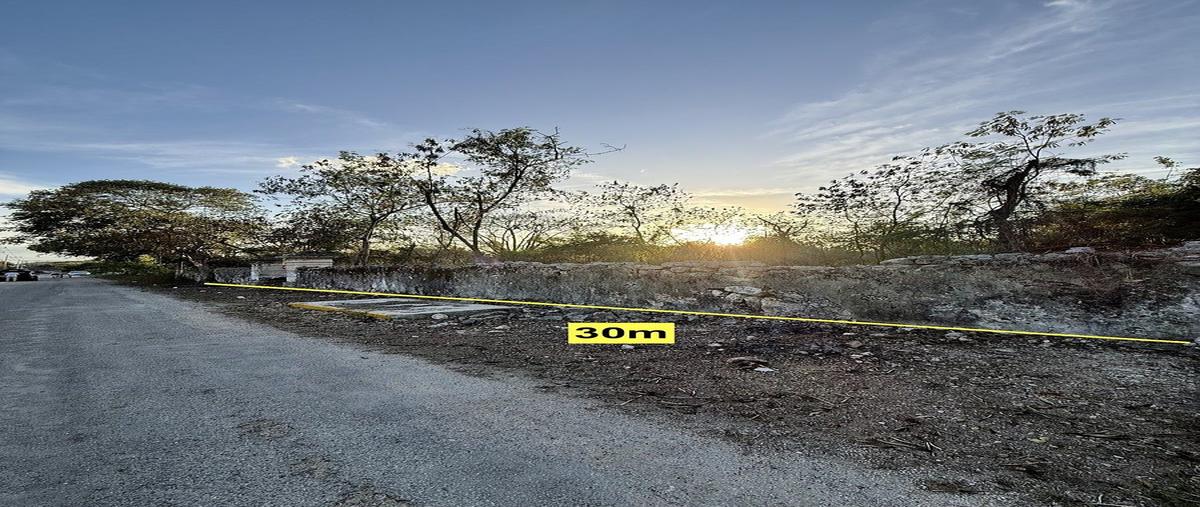 Foto de terreno habitacional en venta en hunucma , san antonio chel, hunucmá, yucatán, 30762752 No. 05