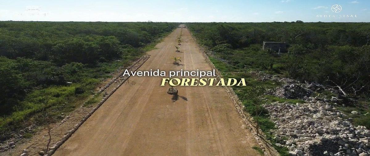 Foto de terreno habitacional en venta en hunucma , sisal, hunucmá, yucatán, 0 No. 04