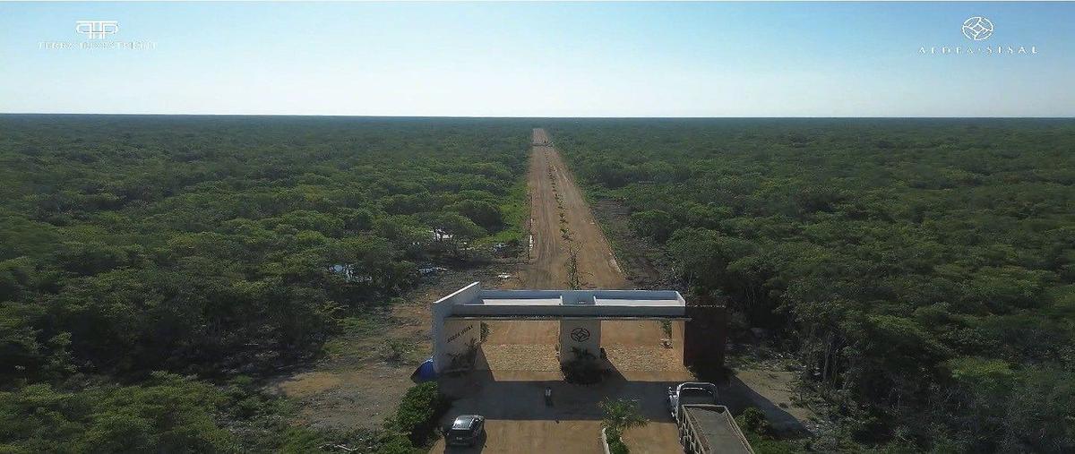 Foto de terreno habitacional en venta en hunucma , sisal, hunucmá, yucatán, 0 No. 05