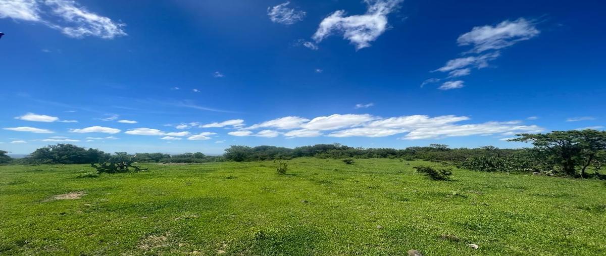 Foto de terreno habitacional en venta en ibarrilla , lomas de ibarrilla, león, guanajuato, 0 No. 03
