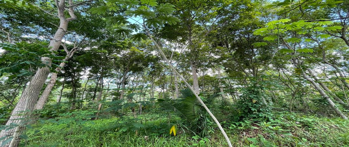 Foto de rancho en venta en igancio zaragoza , ignacio zaragoza 4ta. sección (san andrés), comalcalco, tabasco, 27003746 No. 04