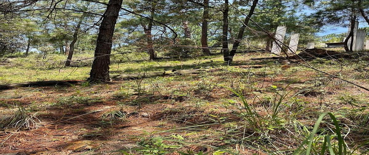 Foto de terreno habitacional en iglesia , monte alto, valle de bravo, méxico, 0 foto 01 Foto de terreno habitacional en venta en iglesia , monte alto, valle de bravo, méxico, 0 No. 01