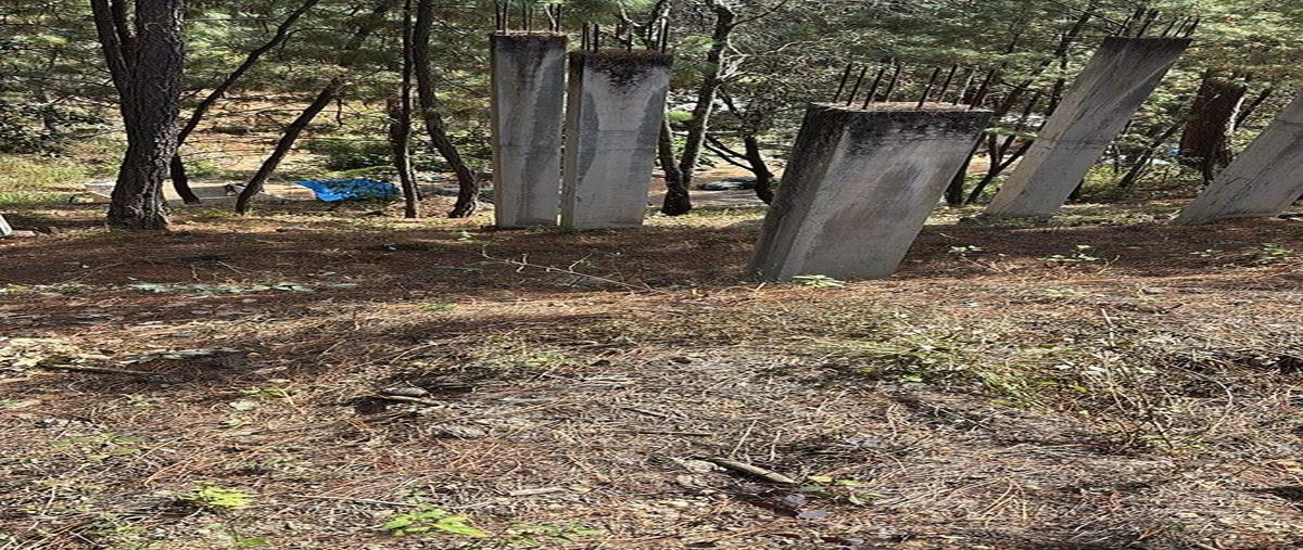 Foto de terreno habitacional en iglesia , monte alto, valle de bravo, méxico, 0 foto 02 Foto de terreno habitacional en venta en iglesia , monte alto, valle de bravo, méxico, 0 No. 02
