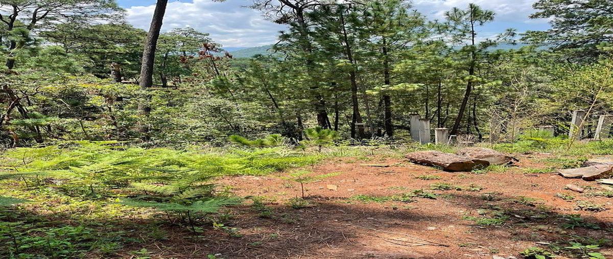 Foto de terreno habitacional en iglesia , monte alto, valle de bravo, méxico, 0 foto 05 Foto de terreno habitacional en venta en iglesia , monte alto, valle de bravo, méxico, 0 No. 05