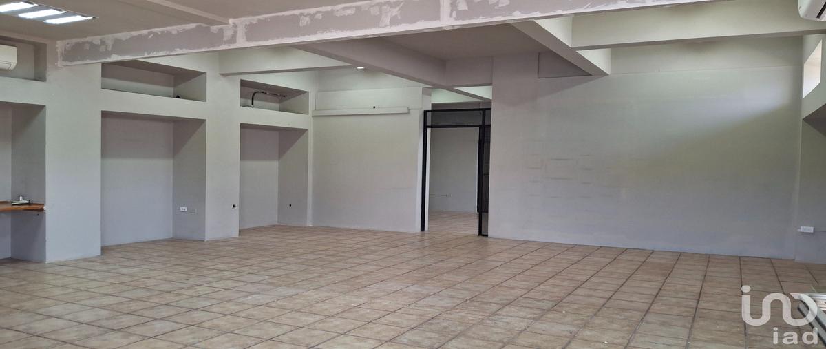 Foto de local en renta en ignacio allende 851, zona central, la paz, baja california sur, 31509651 No. 03
