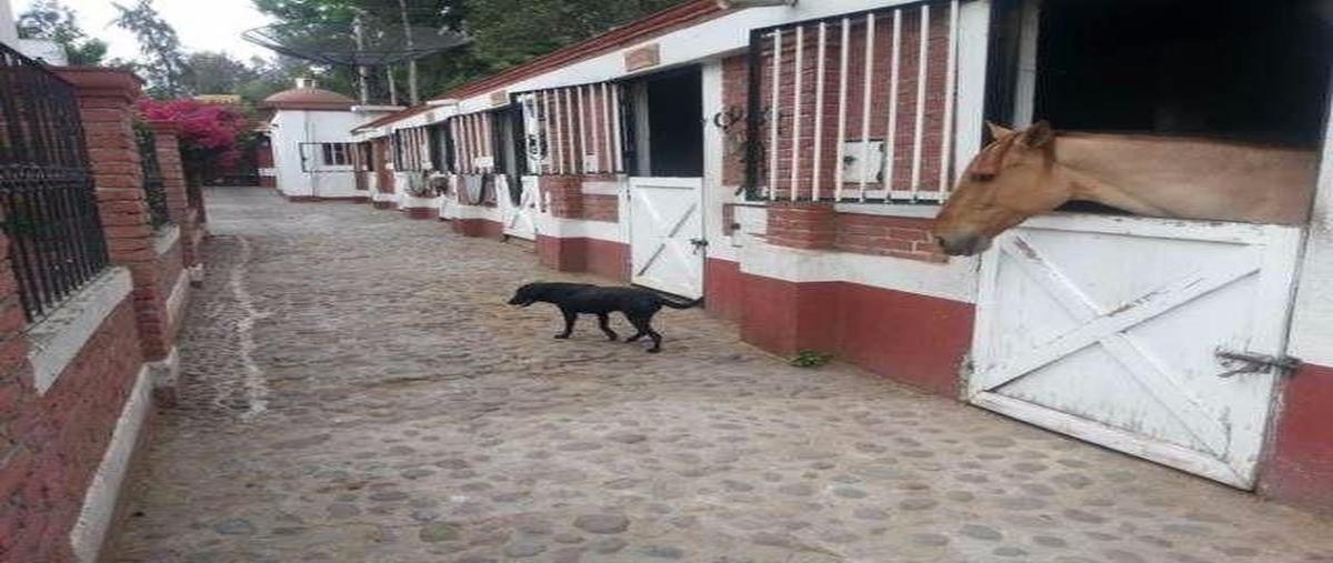 Foto de casa en ignacio allende 9san mateo tecoloapanatizapan de zaragozaedo. mexico , san mateo tecoloapan, atizapán de zaragoza, méxico, 11331672 foto 04 Foto de casa en venta en ignacio allende 9san mateo tecoloapanatizapan de zaragozaedo. mexico , san mateo tecoloapan, atizapán de zaragoza, méxico, 11331672 No. 04