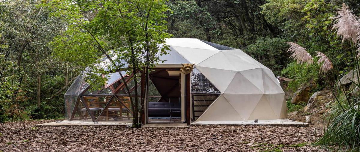 Foto de rancho en venta en  , ignacio allende, huixquilucan, méxico, 0 No. 04