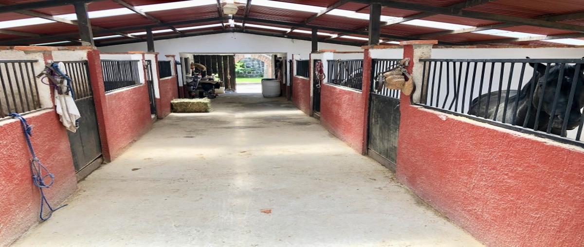 Foto de rancho en venta en  , ignacio allende, huixquilucan, méxico, 0 No. 05