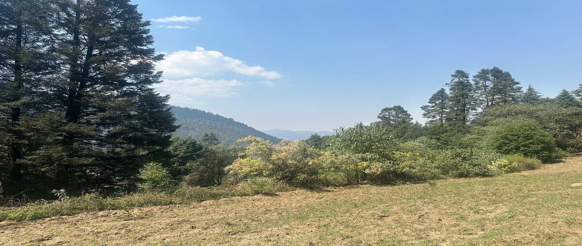 Foto de terreno habitacional en venta en  , ignacio allende, huixquilucan, méxico, 0 No. 04