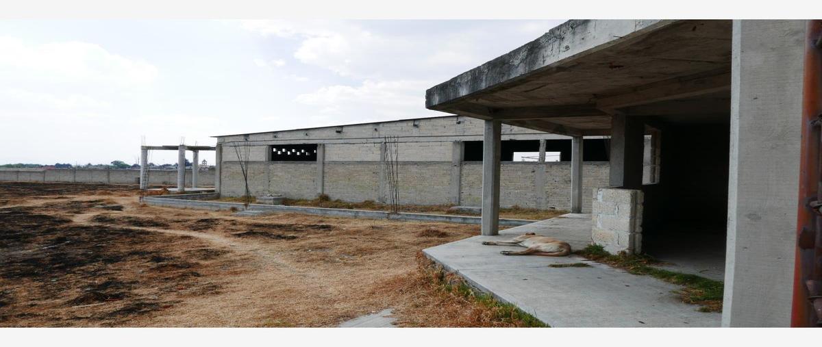 Foto de terreno industrial en venta en ignacio allende **, la concepción de hidalgo, otzolotepec, méxico, 27129692 No. 04