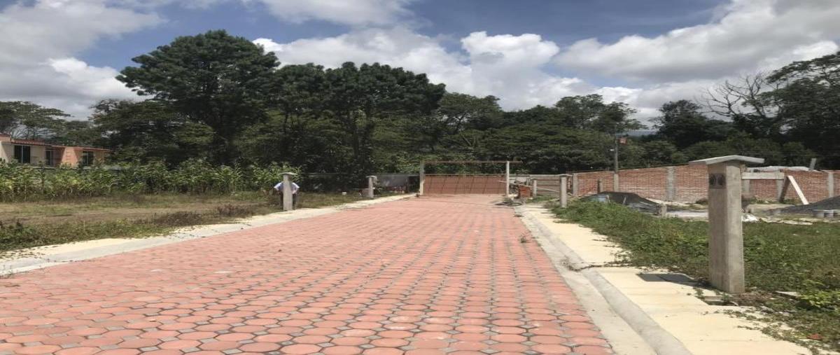 Foto de terreno habitacional en ignacio lópez rayon 50, espinal alto, coatepec, veracruz de ignacio de la llave, 26464551 foto 04 Foto de terreno habitacional en venta en ignacio lópez rayon 50, espinal alto, coatepec, veracruz de ignacio de la llave, 26464551 No. 04