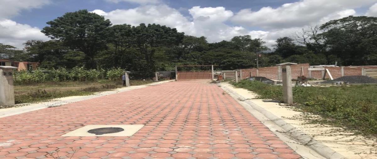 Foto de terreno habitacional en ignacio lópez rayon 50, espinal alto, coatepec, veracruz de ignacio de la llave, 26464551 foto 05 Foto de terreno habitacional en venta en ignacio lópez rayon 50, espinal alto, coatepec, veracruz de ignacio de la llave, 26464551 No. 05