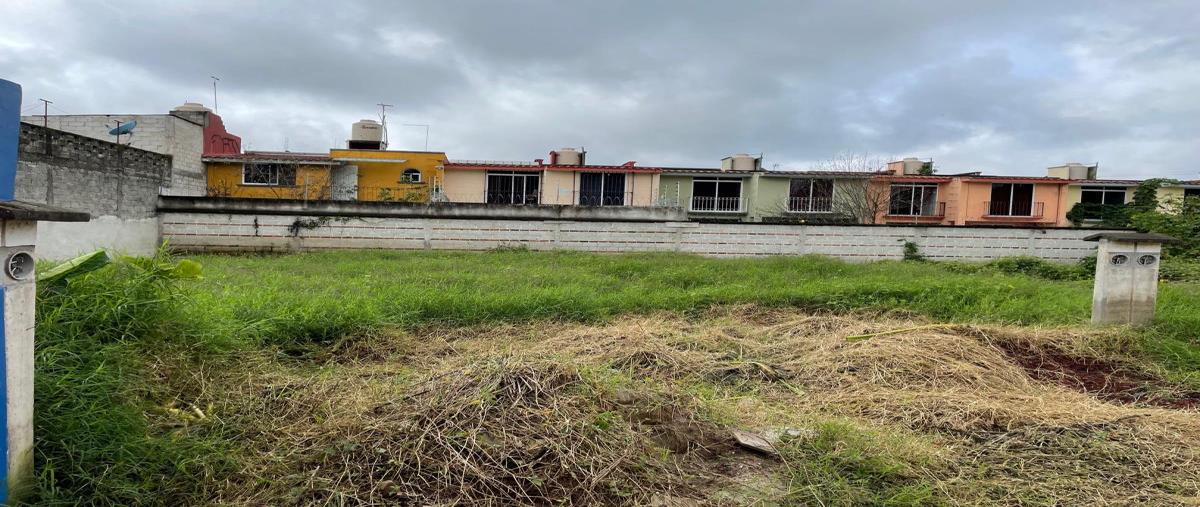 Foto de terreno habitacional en venta en ignacio lópez rayón 50, espinal alto, coatepec, veracruz de ignacio de la llave, 28204695 No. 04