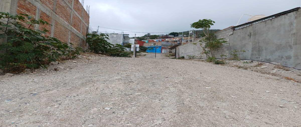 Foto de terreno habitacional en venta en  , ignacio manuel altamirano, chilpancingo de los bravo, guerrero, 0 No. 03