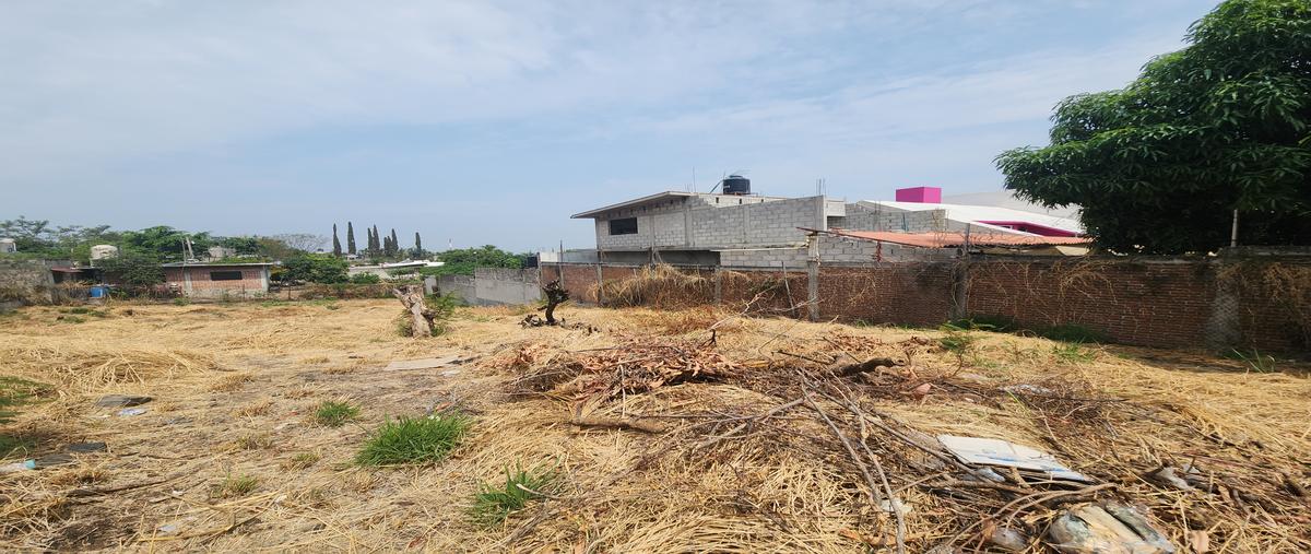 Foto de terreno habitacional en ignacio pavon , juan morales, yecapixtla, morelos, 29975134 foto 01 Foto de terreno habitacional en venta en ignacio pavon , juan morales, yecapixtla, morelos, 29975134 No. 01