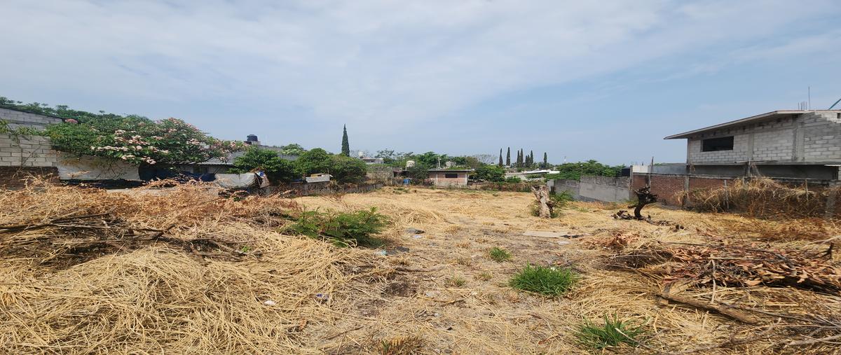 Foto de terreno habitacional en ignacio pavon , juan morales, yecapixtla, morelos, 29975134 foto 02 Foto de terreno habitacional en venta en ignacio pavon , juan morales, yecapixtla, morelos, 29975134 No. 02