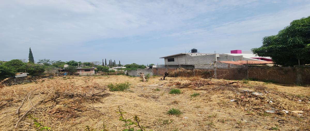 Foto de terreno habitacional en ignacio pavon , juan morales, yecapixtla, morelos, 29975134 foto 05 Foto de terreno habitacional en venta en ignacio pavon , juan morales, yecapixtla, morelos, 29975134 No. 05