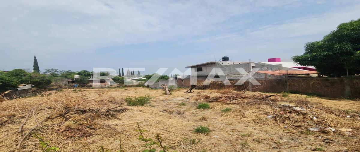 Foto de terreno habitacional en venta en ignacio pavon , juan morales, yecapixtla, morelos, 0 No. 05