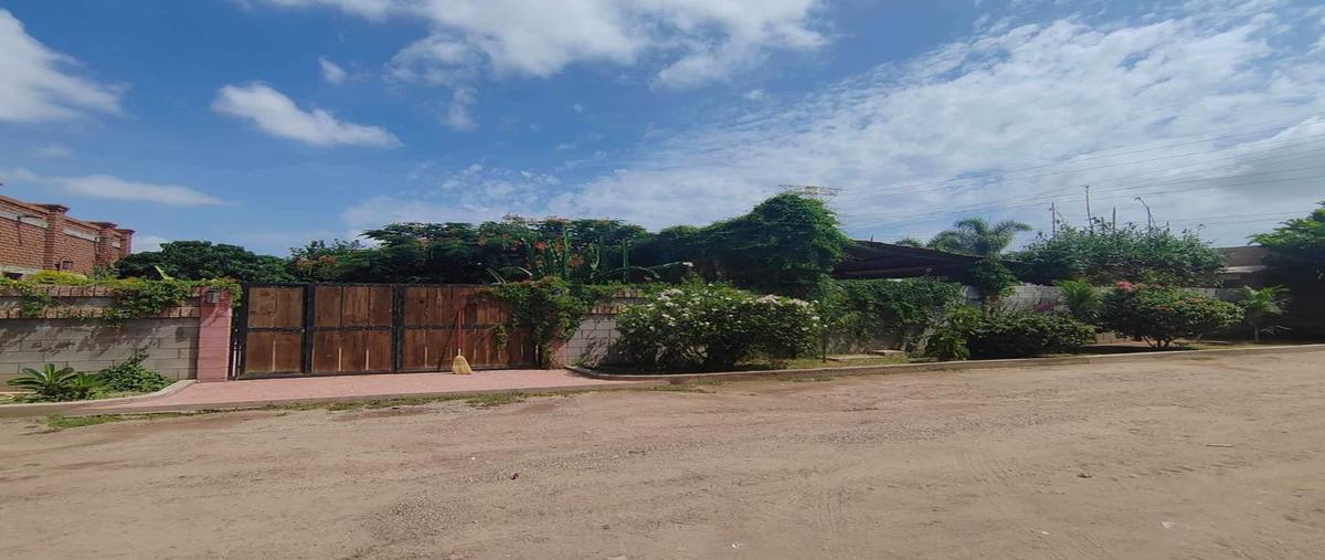 Foto de rancho en ignacio rosales , aguaruto centro, culiacán, sinaloa, 0 foto 02 Foto de rancho en venta en ignacio rosales , aguaruto centro, culiacán, sinaloa, 0 No. 02