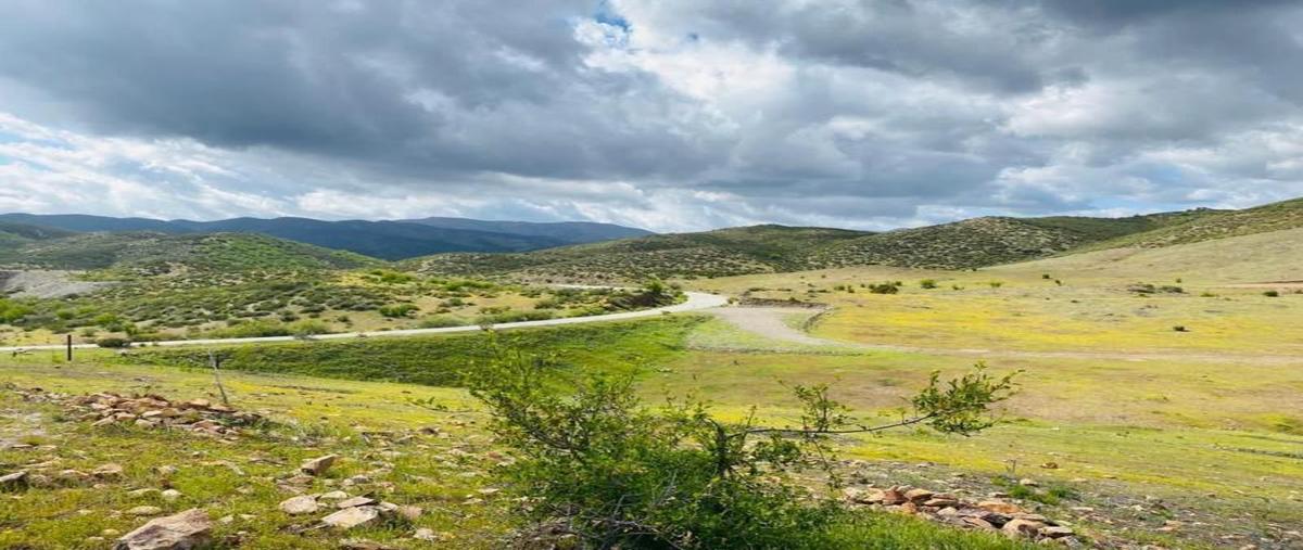 Foto de terreno habitacional en venta en ignacio zaragoza 1, francisco zarco (valle de guadalupe), ensenada, baja california, 0 No. 03