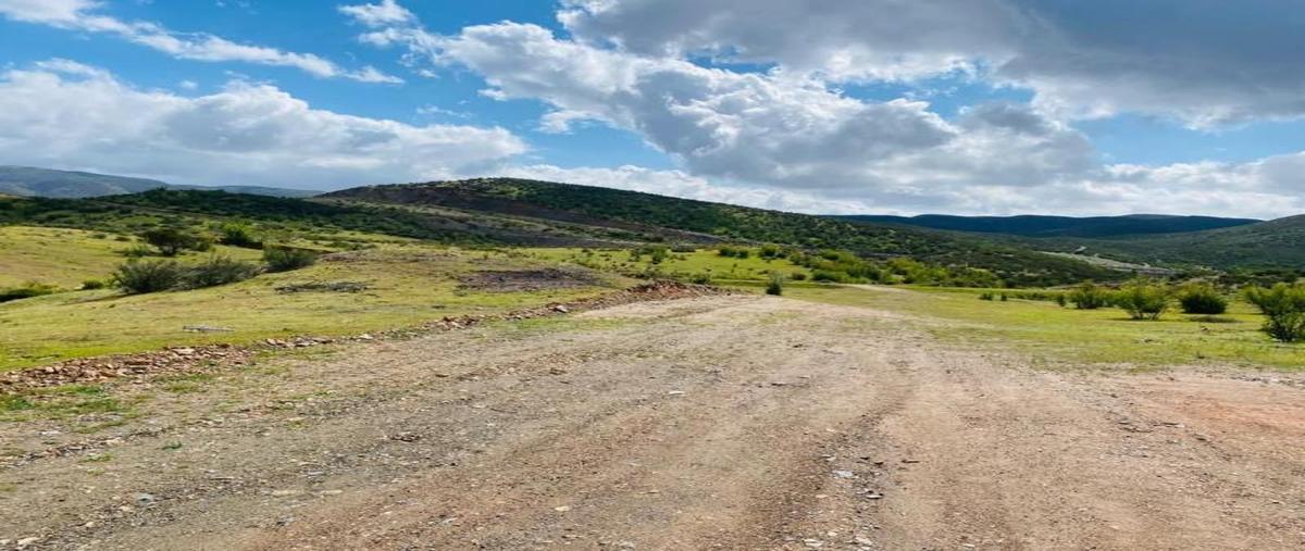 Foto de terreno habitacional en venta en ignacio zaragoza 1, francisco zarco (valle de guadalupe), ensenada, baja california, 0 No. 05