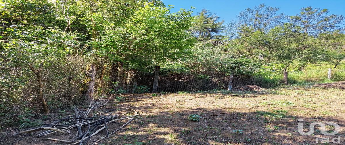 Foto de terreno habitacional en venta en ignacio zaragoza 126, nueva aurora, huauchinango, puebla, 31112828 No. 04