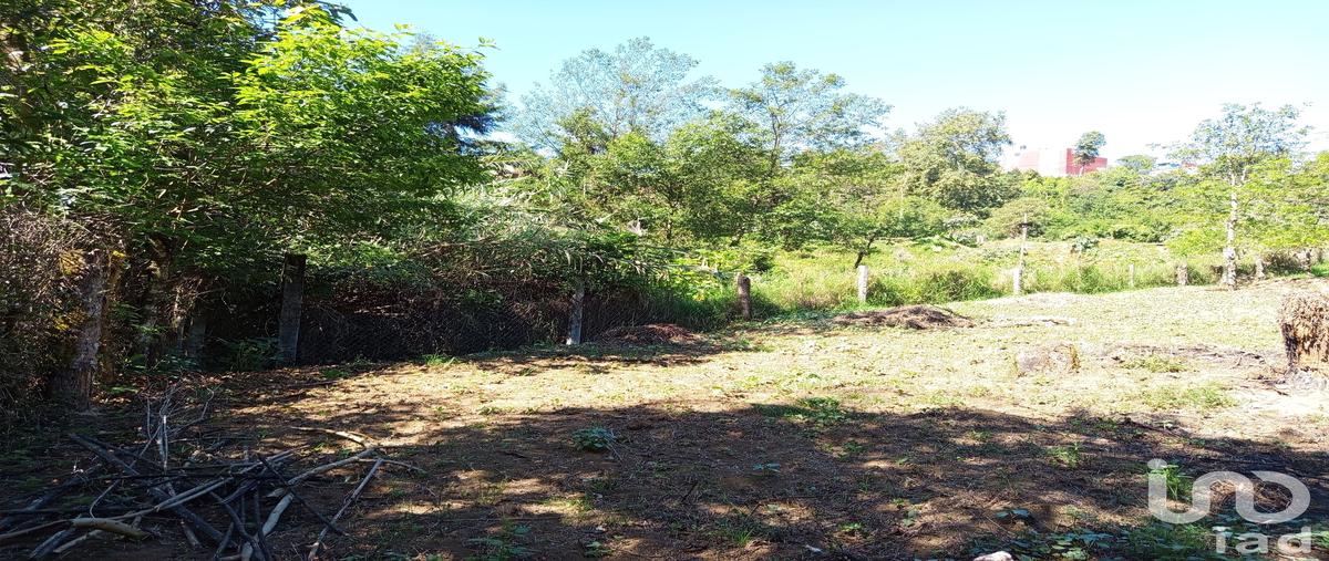 Foto de terreno habitacional en venta en ignacio zaragoza 150, nueva aurora, huauchinango, puebla, 31112828 No. 05