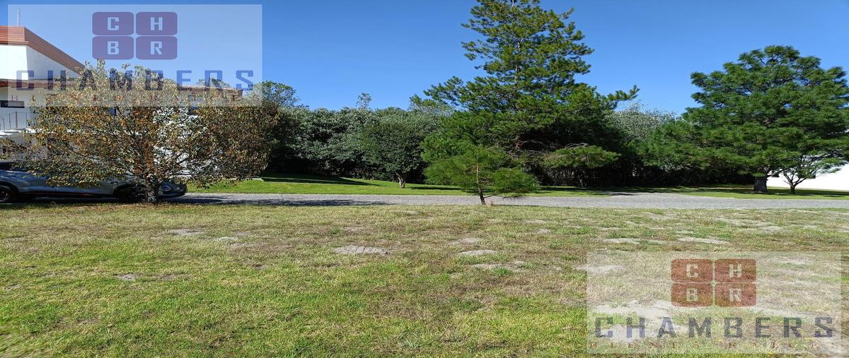 Foto de terreno habitacional en venta en  , ignacio zaragoza, huamantla, tlaxcala, 30523991 No. 05