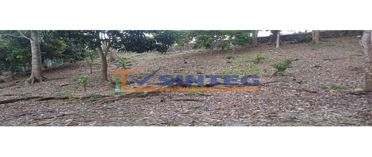 Foto de terreno habitacional en , ignacio zaragoza, poza rica de hidalgo, veracruz de ignacio de la llave, 0 foto 05 Foto de terreno habitacional en venta en , ignacio zaragoza, poza rica de hidalgo, veracruz de ignacio de la llave, 0 No. 05