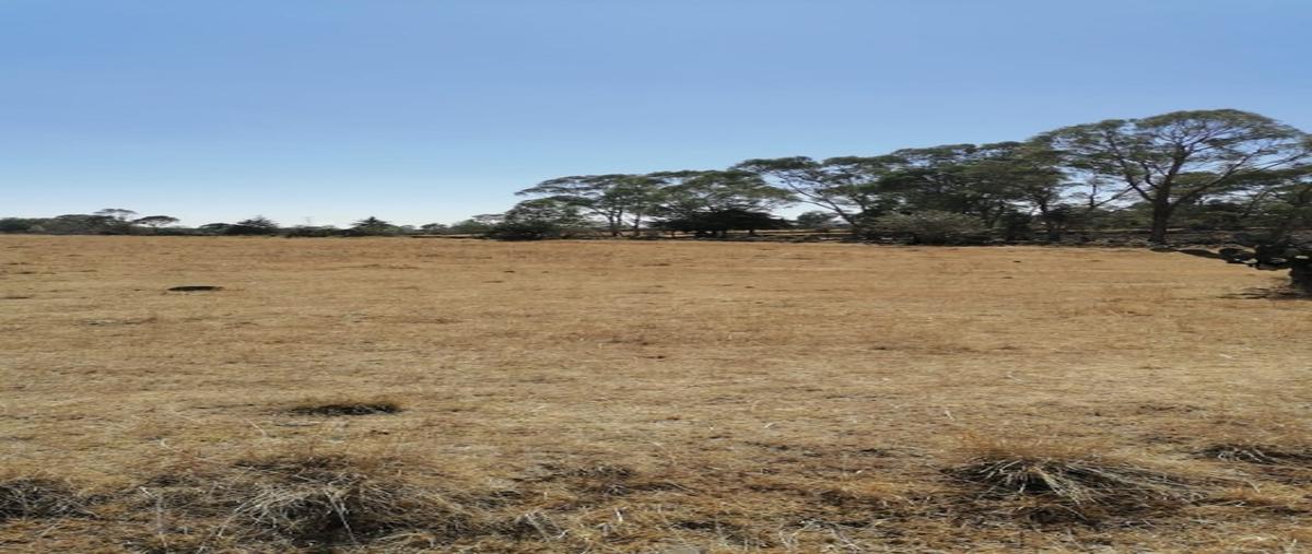 Foto de terreno habitacional en , ignacio zaragoza (zaragoza), soyaniquilpan de juárez, méxico, 27962888 foto 03 Foto de terreno habitacional en venta en , ignacio zaragoza (zaragoza), soyaniquilpan de juárez, méxico, 27962888 No. 03